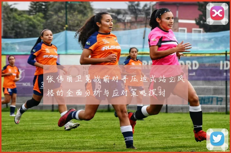 张伟丽卫冕战前对手压迫式站立风格的全面分析与应对策略探讨